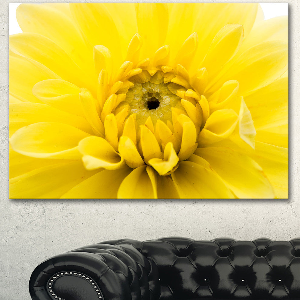 Yellow Chrysanthemum Gold Flower, Flower Artwork on Canvas, 40"x30"