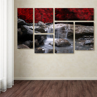 'Red Vision' Multi-Panel Canvas Art Set by Philippe Sainte-Laudy