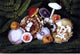 William Aiken Walker Mushrooms, 18"x27" Wall Decal Print
