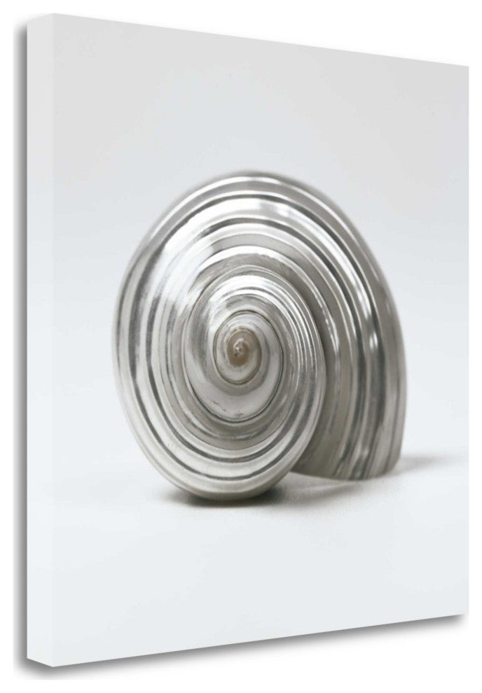 19" Contemporary Metallic Silver Seashell Print on Gallery Wrap Canvas Wall Art