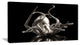 "Silver Octopus" Abstract Digital Art Canvas Print