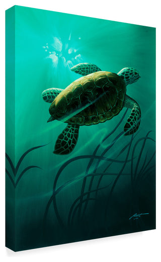 "Green Sea Turtle     " by D. Rusty Rust, Canvas Art