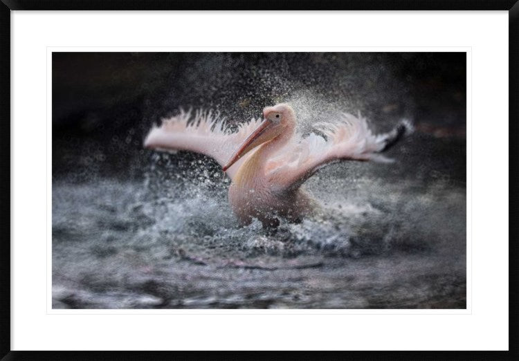 "Bathing Fun" Framed Digital Print by Antje Wenner-Braun, 38"x26"