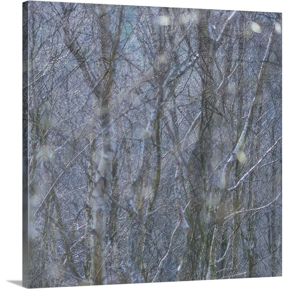 "Woodland Shimmer" Wrapped Canvas Art Print, 24"x24"x1.5"