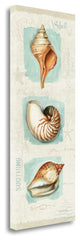 "Coastal Jewels Panel II" By Lisa Audit, Giclee Print on Gallery Wrap Canvas