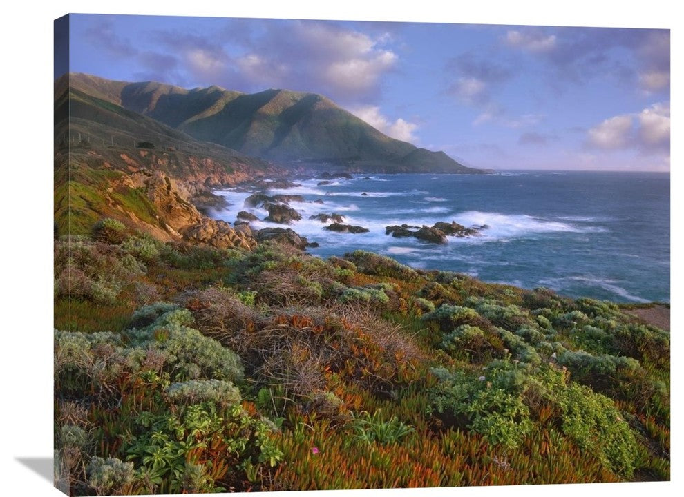 "Cliffs-The Pacific Ocean, Garrapata State Beach, Big Sur, California" Artwork