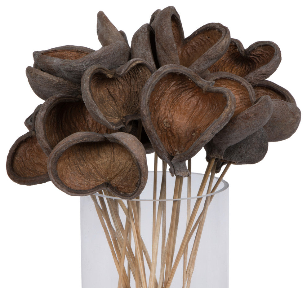 Vickerman Natural Botanicals 20" Stem Badam, Includes 25 Stems Per Pack