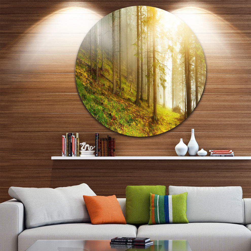 Sun Finds Its Way In Forest, Landscape Photo Disc Metal Wall Art, 38"