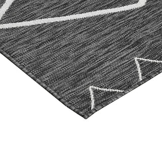 Gewnee Darya Moroccan Indoor/Outdoor Rug, 8'x10'