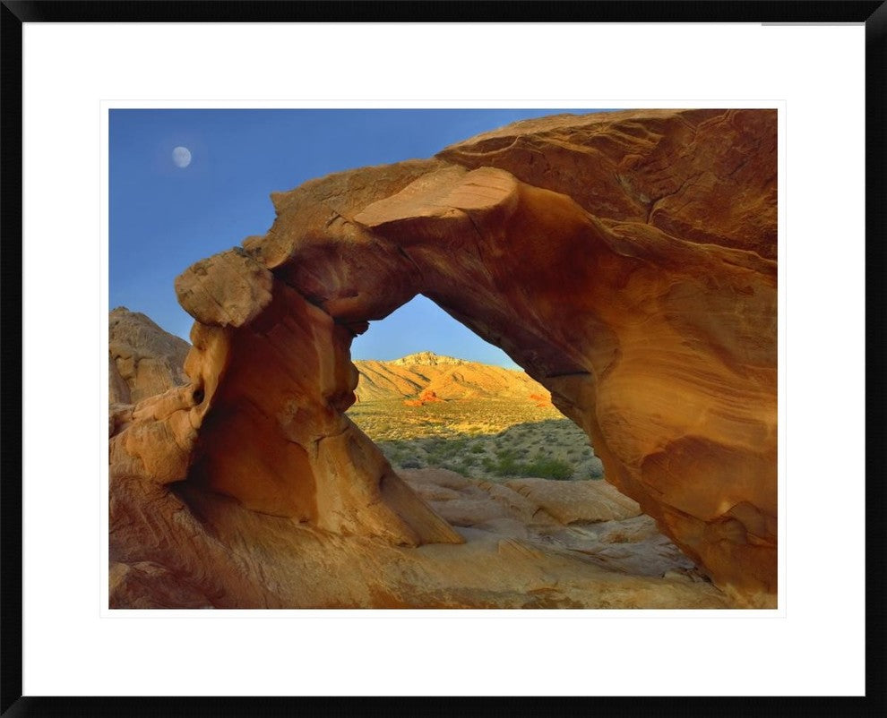 Arch Rock and Moon, Valley Of Fire State Park, Nevada, 30"x24"