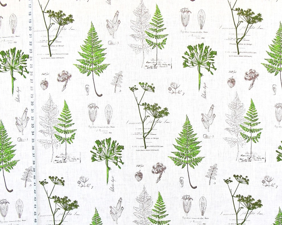 Green Fern Fabric Botanical Nature Toile Meadow Linen, Standard Cut