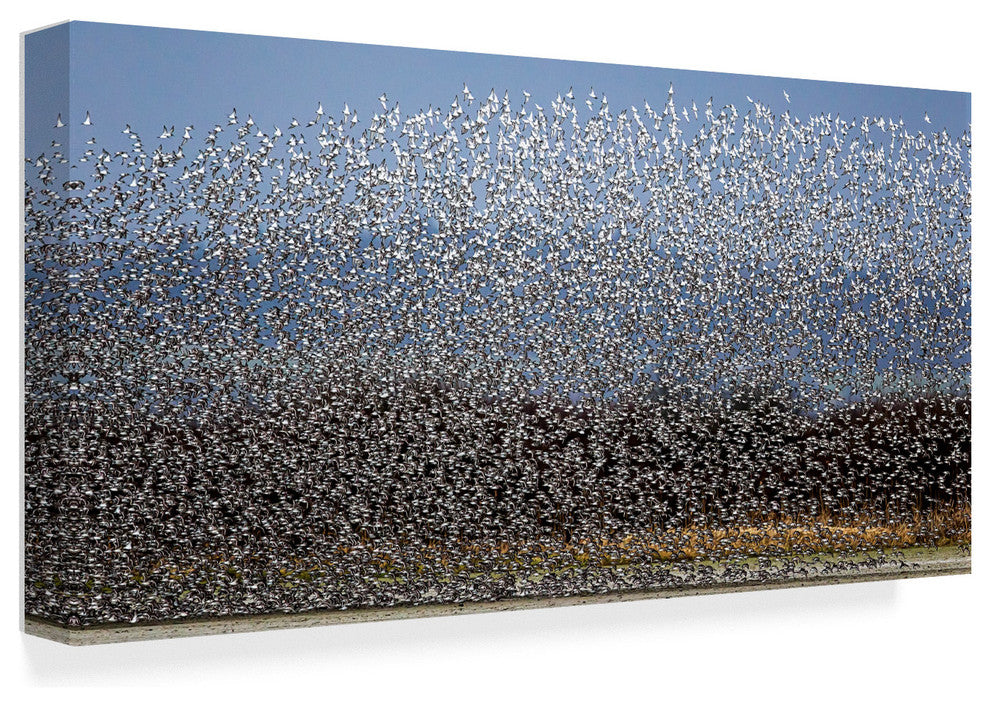 Katsu Uota 'Bird Curtain' Canvas Art, 24"x12"