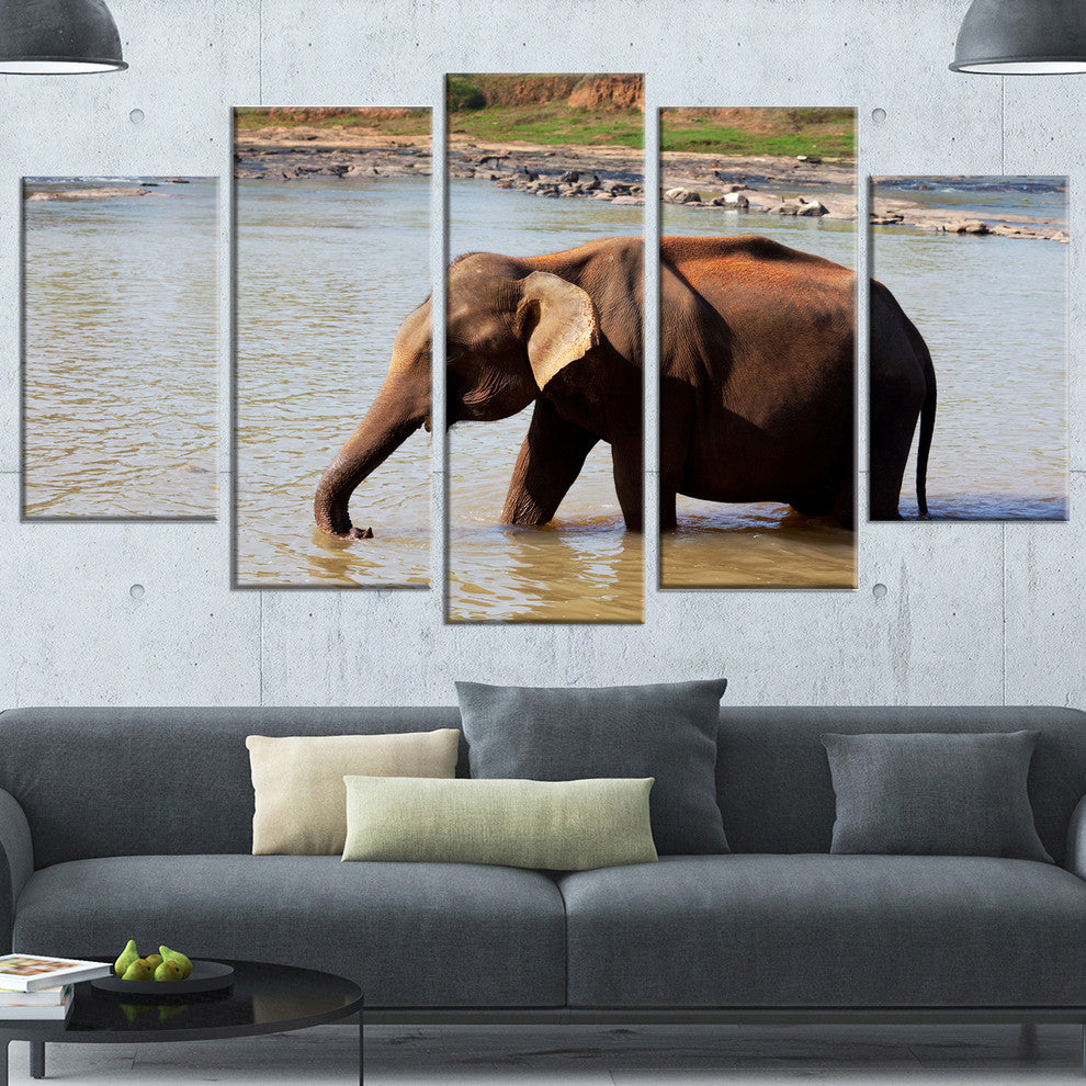 Elephant in Water in Sri Lanka, African Canvas Print, 60"x32", 5 Panels