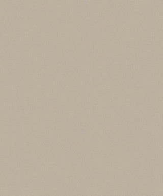 Plain Textured Wallpaper Featuring Painted Wall, 81863