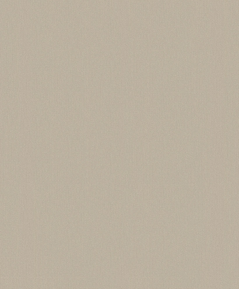 Plain Textured Wallpaper Featuring Painted Wall, 81863