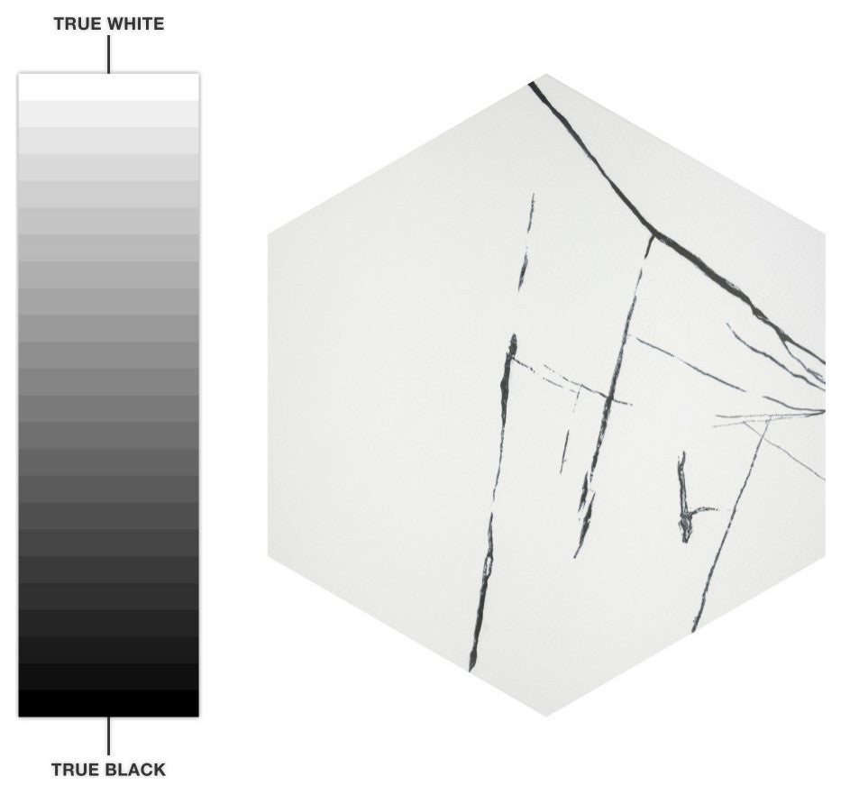 Visium Hex White Porcelain Floor and Wall Tile