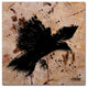 ''The Raven 1'' Canvas Art by Roderick Stevens