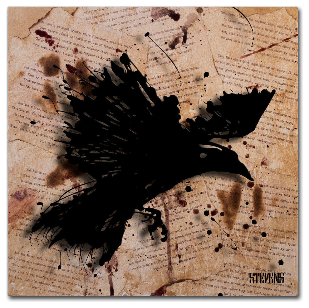 ''The Raven 1'' Canvas Art by Roderick Stevens