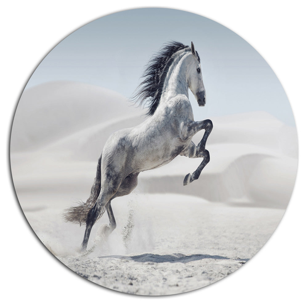 Galloping White Horse, Animal Disc Metal Artwork, 36"