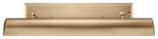Carston 1 Light Picture Light, Champagne Bronze, 24"
