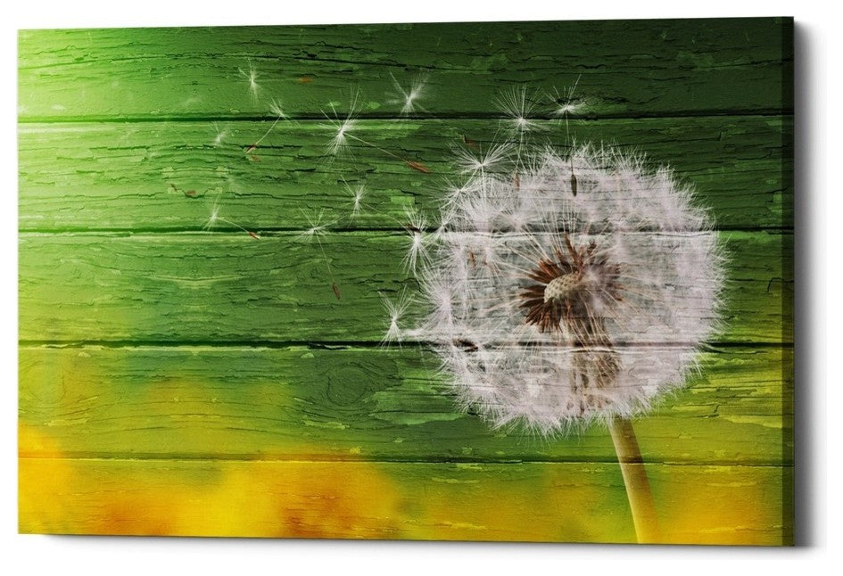 Epic Graffiti "Wood Series: Dandi Green" Giclee Canvas Wall Art, 12"x18"