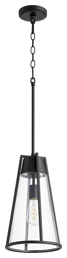 Quorum 826-69 One Light Pendant, Black w Clear Finish