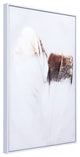Gold and White Lone Feather Painting
