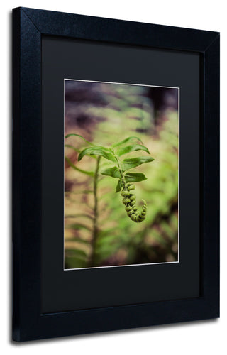 PIPA Fine Art 'Growth of the Forest Floor' Matted Framed Art, 14x11