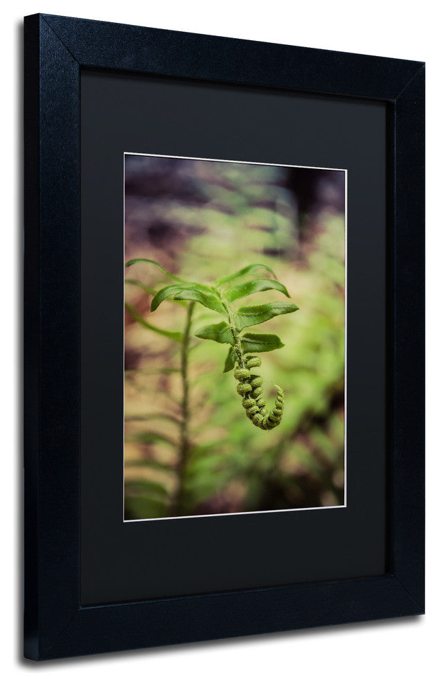 PIPA Fine Art 'Growth of the Forest Floor' Matted Framed Art, 14x11