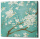 "White Cherry Blossom I on Blue" Giclee Canvas Wall Art, 18"x18"