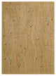 NOURISON CAMBRIDGE GOLD AREA RUG