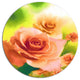 Beautiful Watercolor Roses On Green, Flower Round Metal Wall Art, 11"