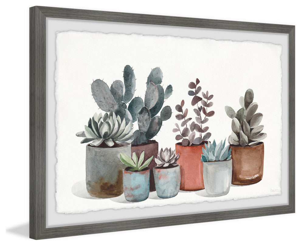 "Succulent Plants Display" Framed Painting Print