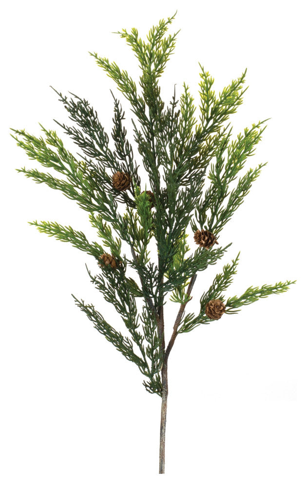 Pine Spray, Set of 6