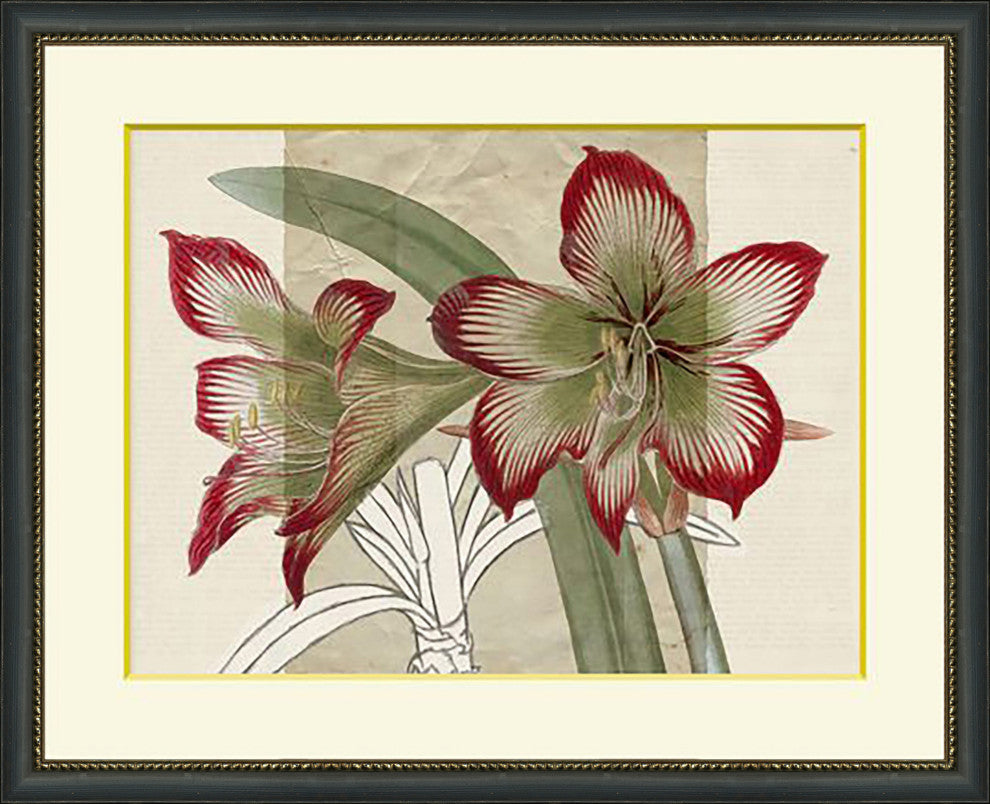 Red Lilies 1, Giclee Reproduction Artwork