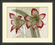 Red Lilies 1, Giclee Reproduction Artwork