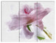 Light Blue Flower with Paint Splashes, Floral Canvas Artwork, 36x28, 3 Panels
