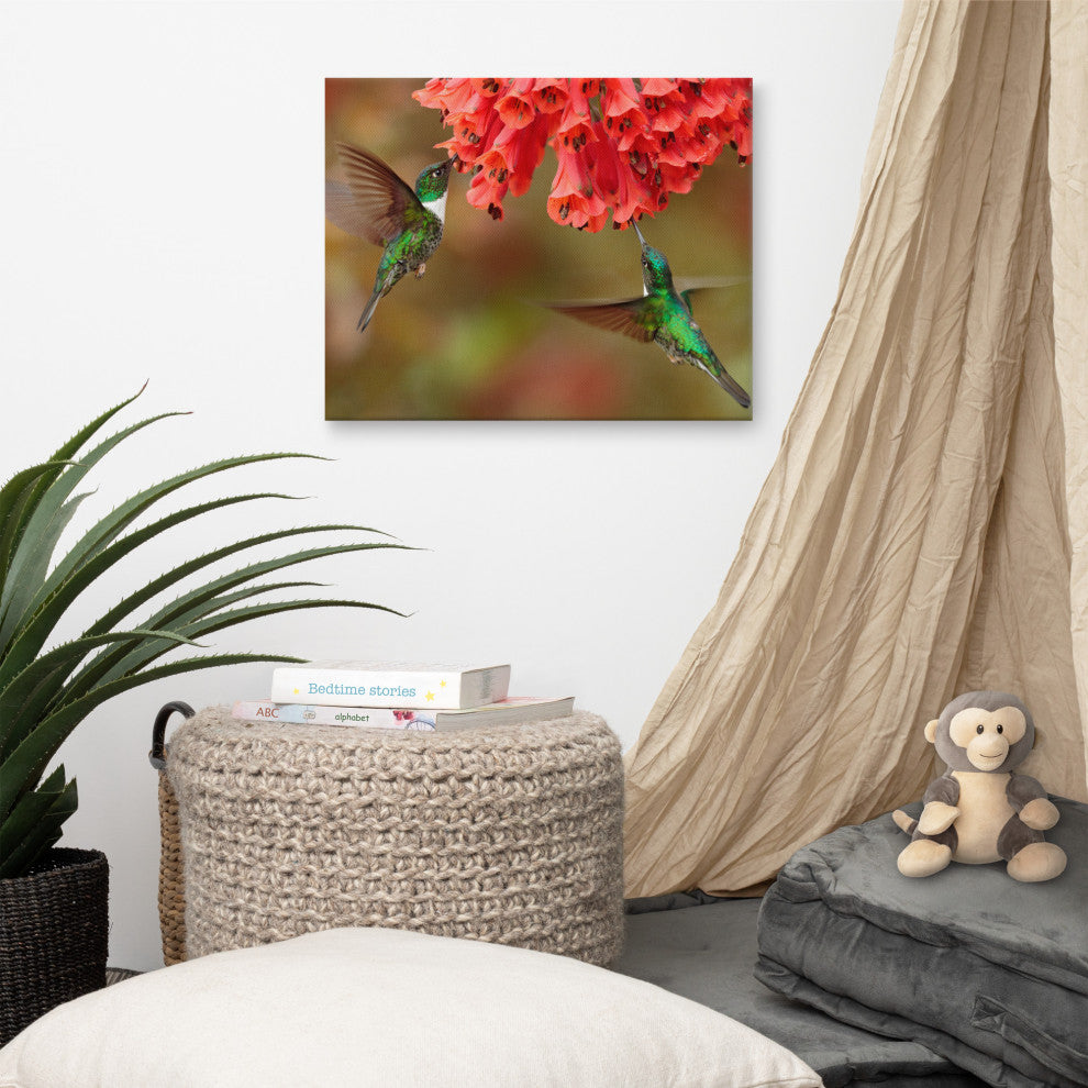 Hummingbirds Reddish-Orange Flowers Animal Wildlife Photo Canvas Wall Art Print, 16" X 20"