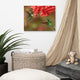 Hummingbirds Reddish-Orange Flowers Animal Wildlife Photo Canvas Wall Art Print, 16" X 20"