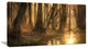"Golden Morning in Dense Forest" Landscape Canvas Photo Print, 40"x20"