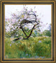 Frederick Childe Hassam Peach BlossomsVilliersleBel Framed Canvas Print, 16"x20"