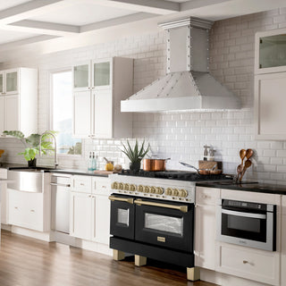 48" Dual Fuel Range, Stainless With Black and Champagne RAZ-BLM-48-CB