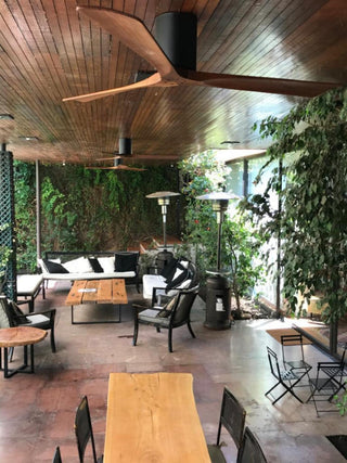 Irene-3 52" Hugger Ceiling Fan, Black With Walnut Blades