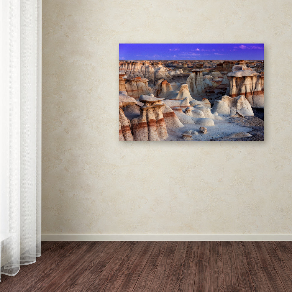 Mike Jones Photo 'Bisti Badlands' Canvas Art, 22x32