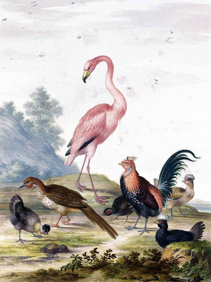 Tile Mural A Flamingo By Johannes Bronckhorst, 6"x8", Matte