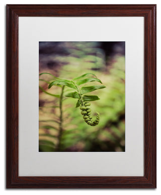 PIPA Fine Art 'Growth of the Forest Floor' Matted Framed Art, 20x16
