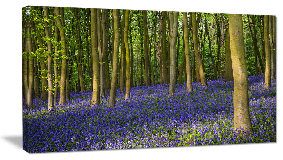 Bluebell Woods in Oxfordshire, Landscape Canvas Art Print, 32"x16"
