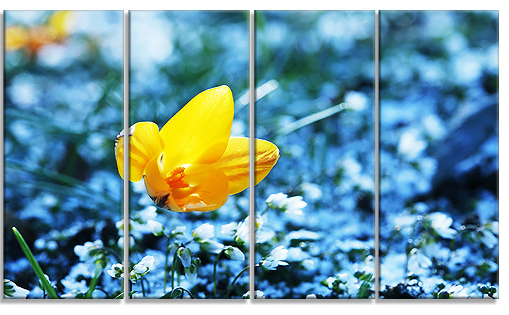Solitary Yellow Flower on Blue, Floral Canvas Art Print, 48"x28", 4 Panels