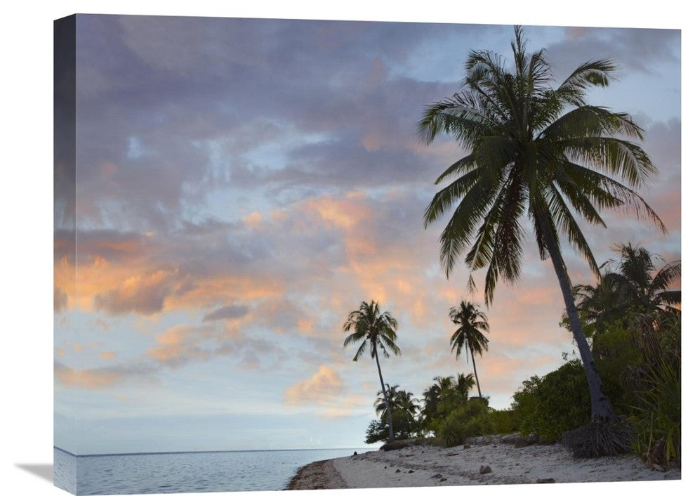 "Coconut Palm Trees, Pamilacan Island, Bohol Island, Philippines" Artwork