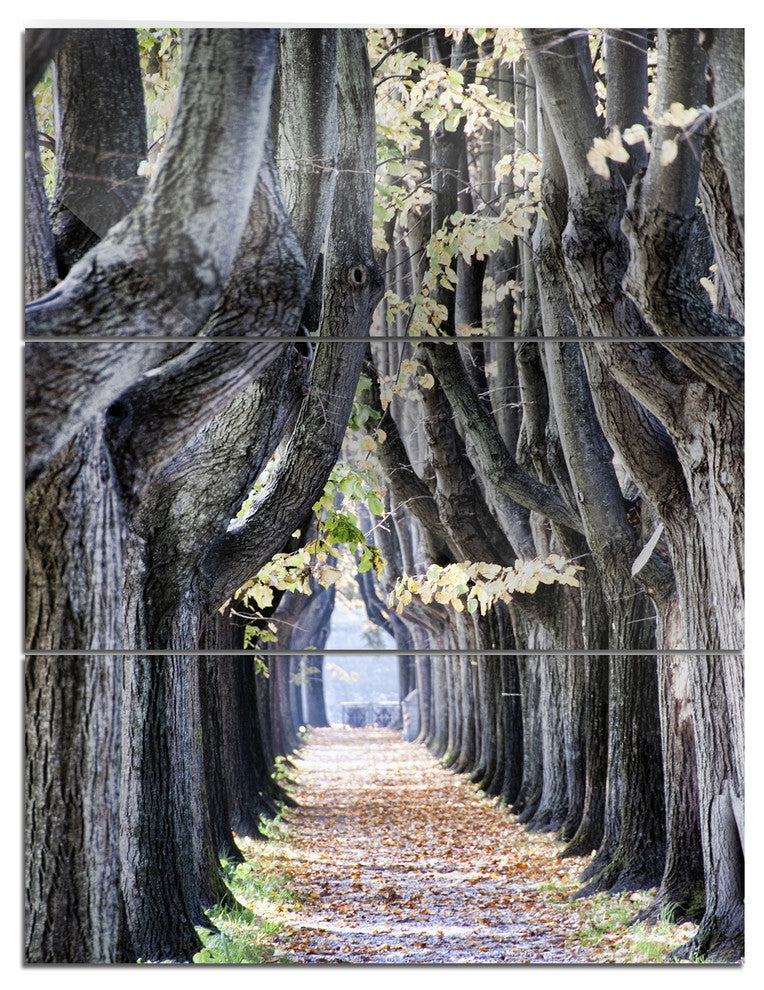 "Tree Outside Lucca Italy" Photo Metal Wall Art, 3 Panels, 28"x36"